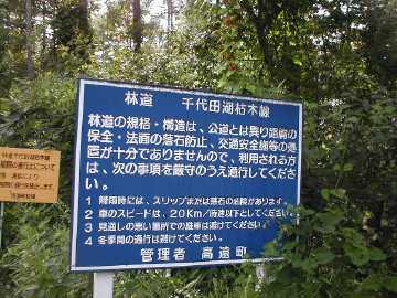 千代田湖枯木林道