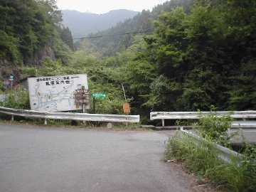 奈良津林道