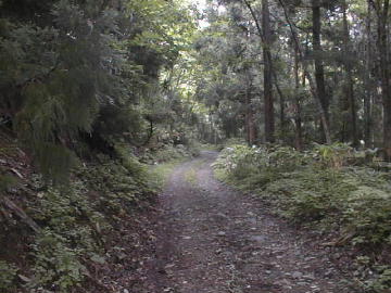 上野々林道