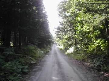 第１縦断林道