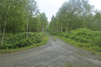 ケモマナイ越林道